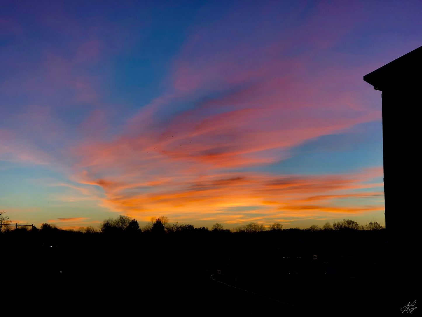 Morning Sunrise