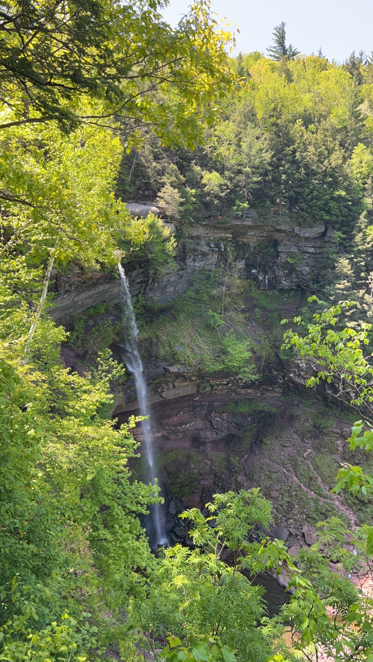 Side View of the Catskill Falls in N.Y.
