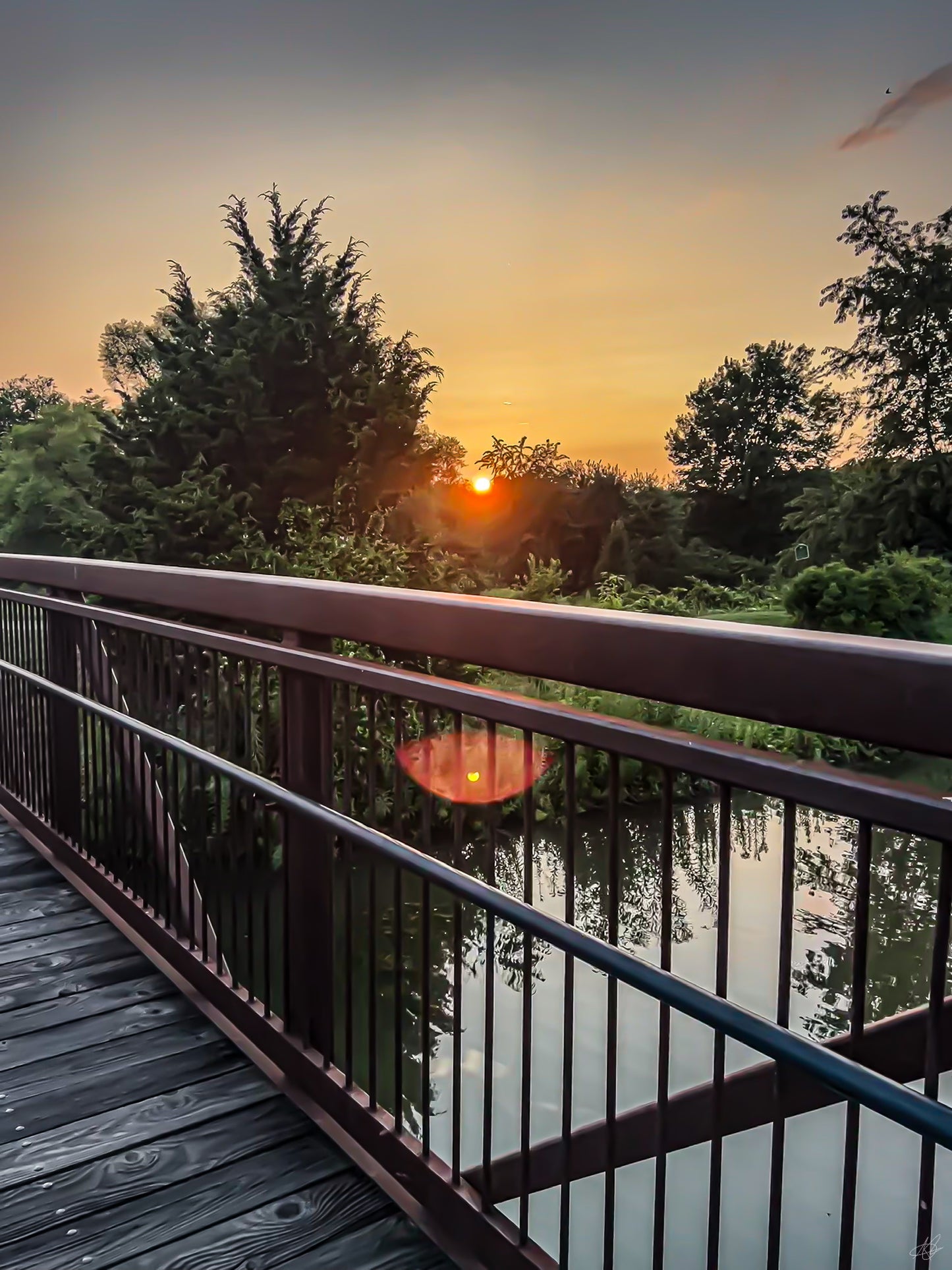 Sunset Through the Trees and Over the Bridge