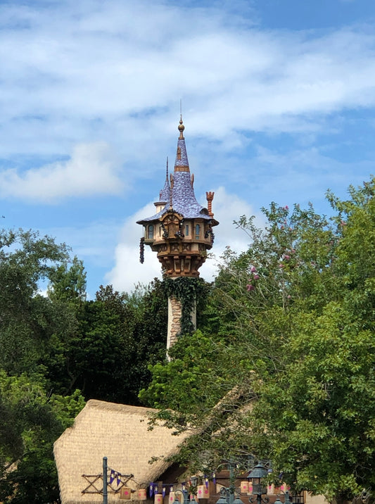 Rapunzel's Castle at Magic Kingdom
