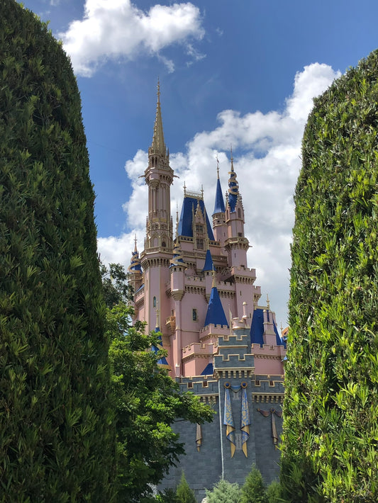 Magic Kingdom through the Big Bushes