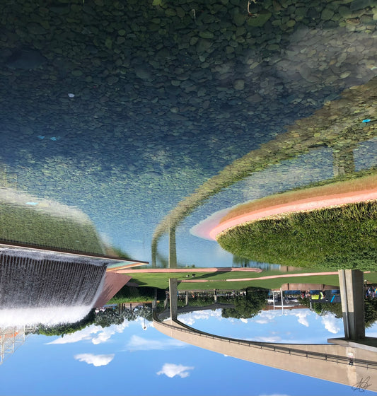 Upside Down Scenery Picture at Epcot