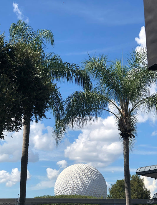 Epcot with Palm Trees