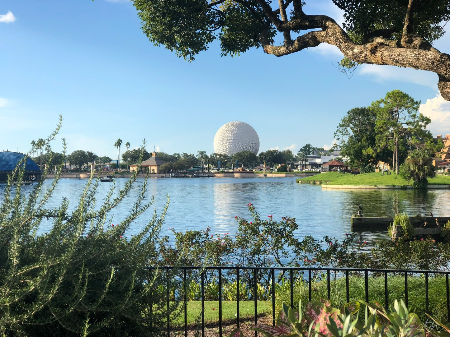 Epcot Under the Tree and Over the Lake