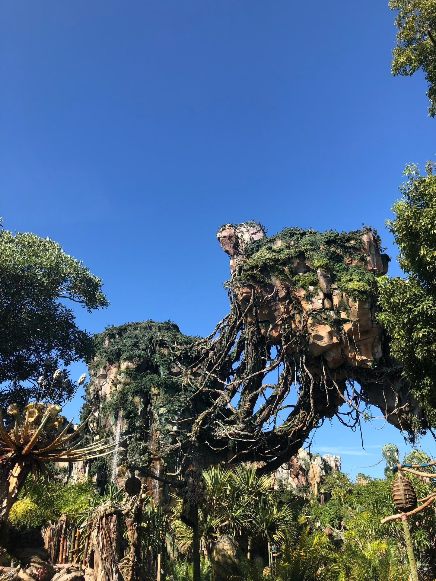 Avatar World at Disney
