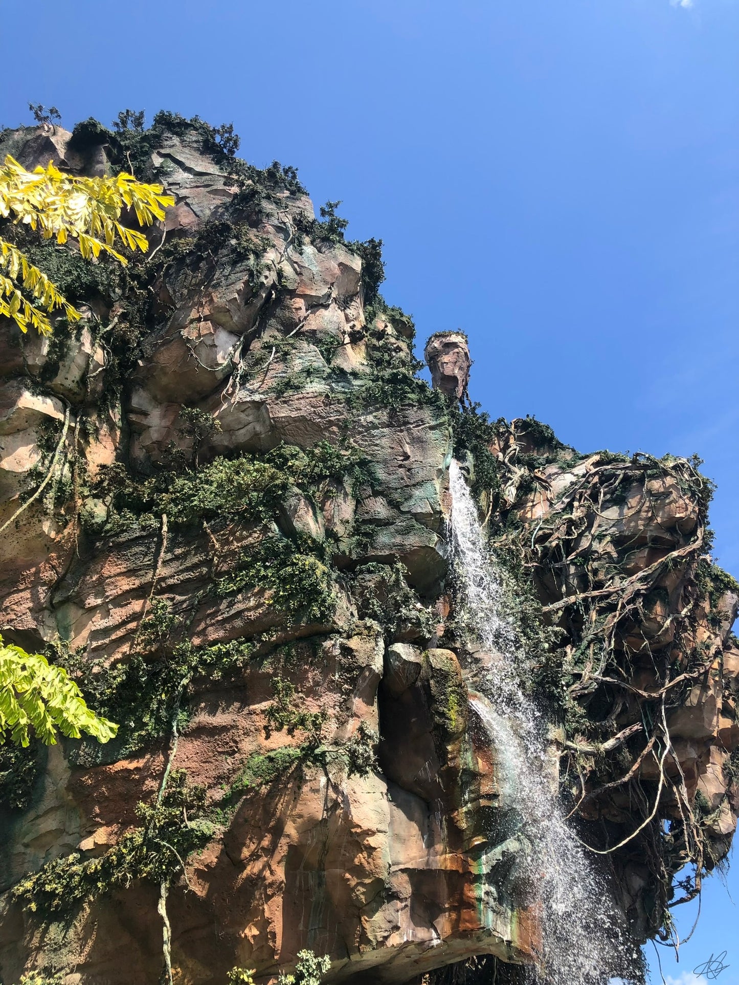 Avatar World Falls at Disney