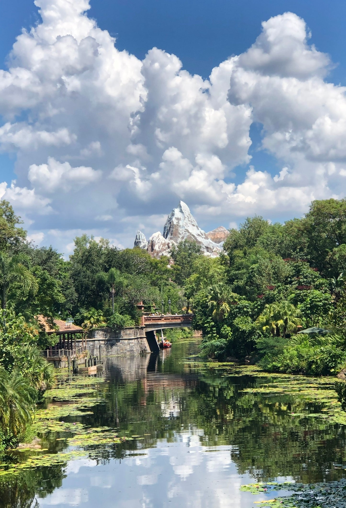 Expedition Everest at Disney