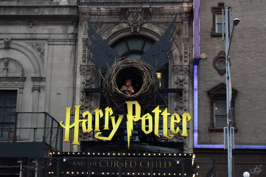 Harry Potter and the Cursed Child in NYC