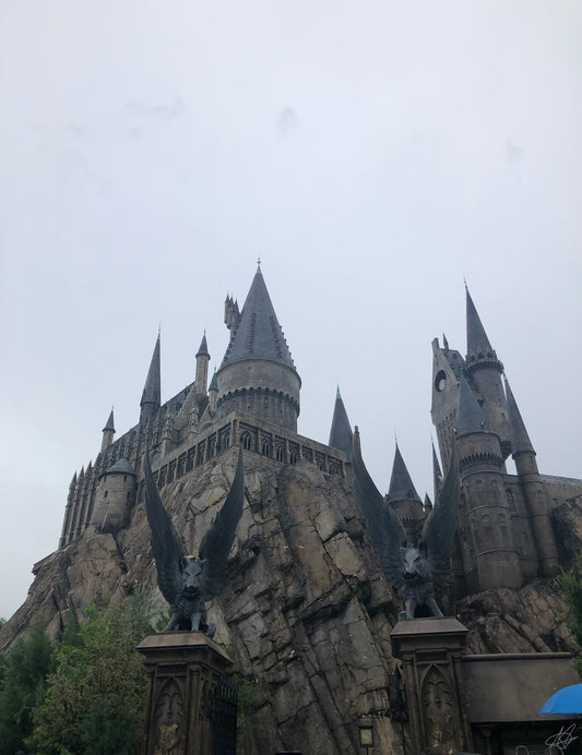 Harry Potter Castle at Universal Orlando (Upwards View)