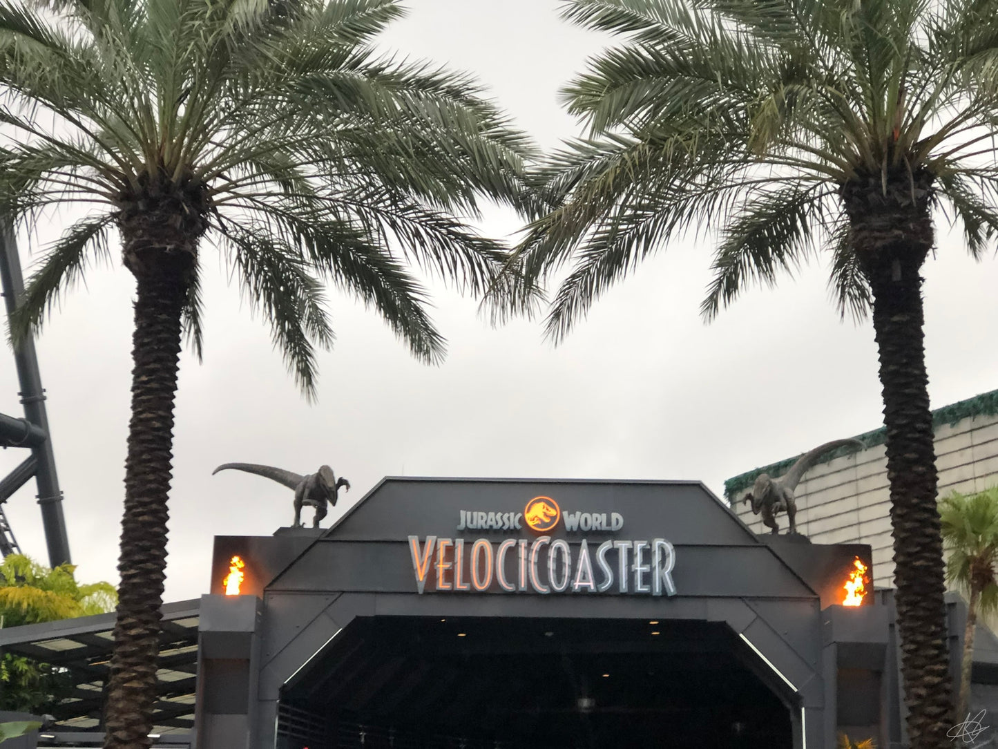 Jurassic World VelociCoaster at Universal Orlando