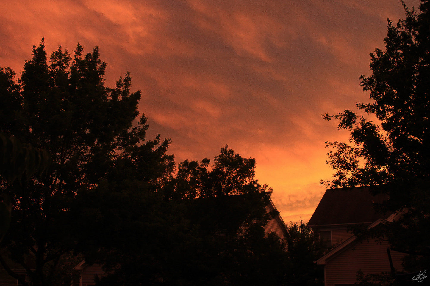 Dark Orange Hazy Sunset Over the Trees