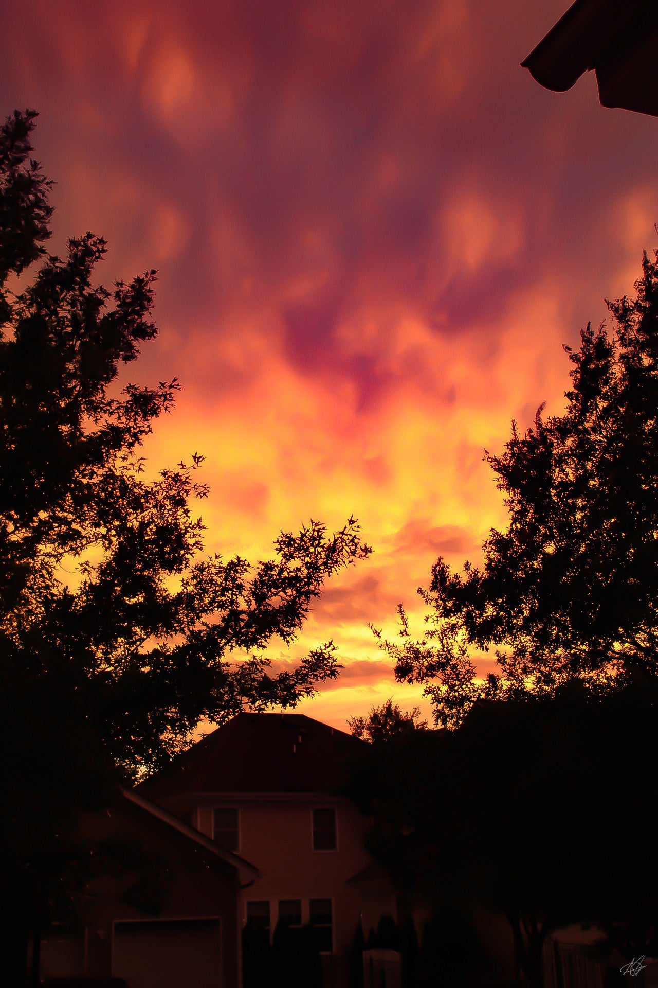 Dark Orange Hazy Sunset Over the Trees (Portrait)