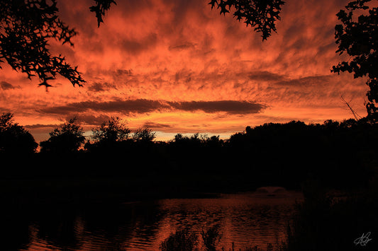 Dark Orange Hazy Sunset Over a Pond and the Trees