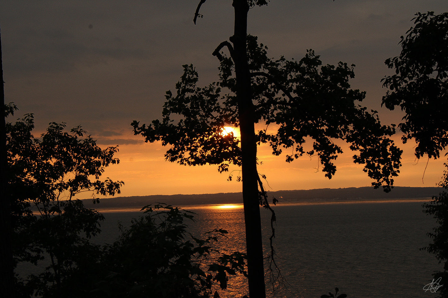 Sunset through the Trees and Over a Lake