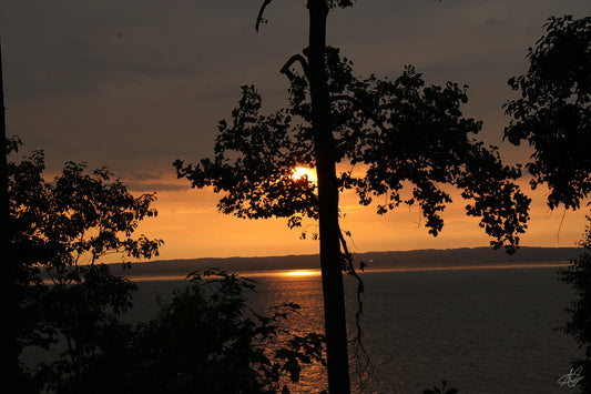 Sunset through the Trees and Over a Lake