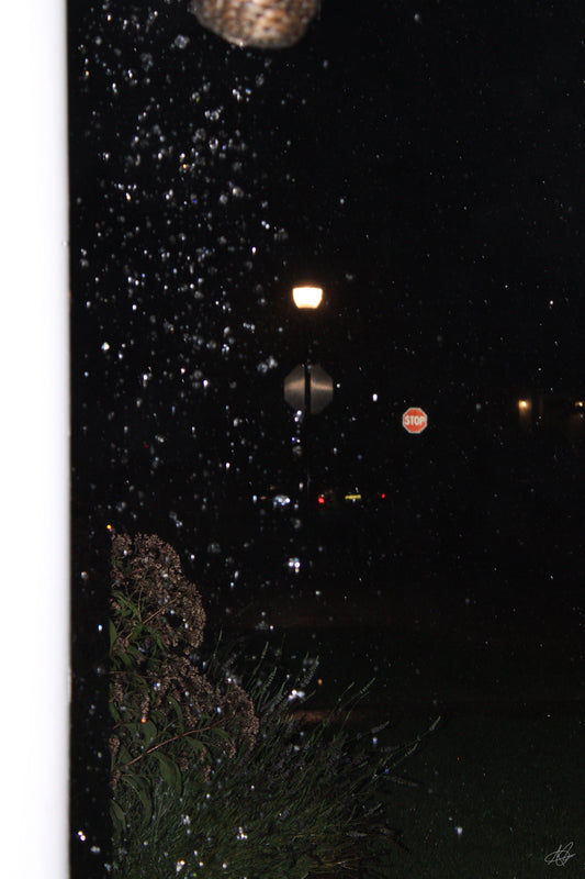 Lamppost with the Bushes in the Rain