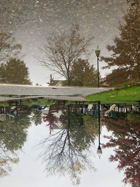 Rain Reflection Portrait