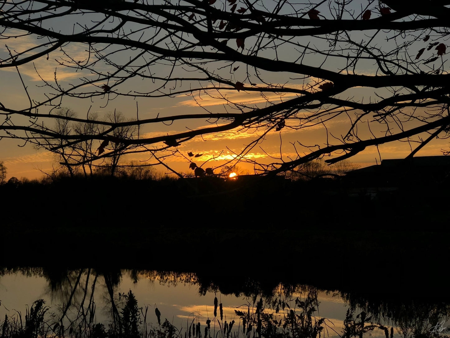 Evening Sunset