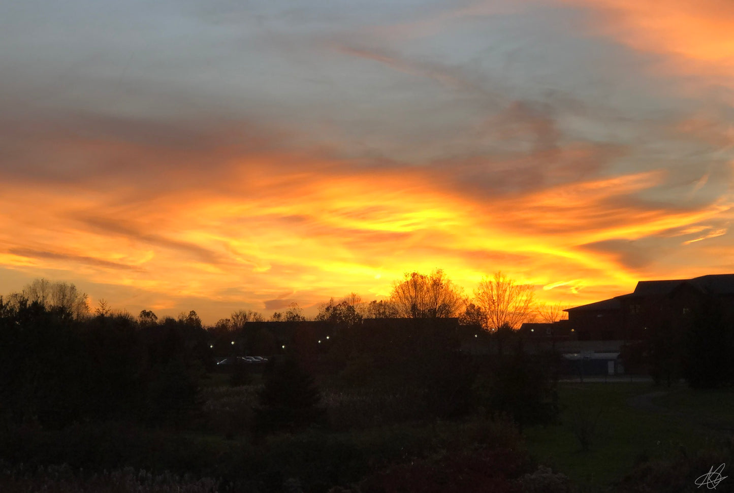 Sunset Over the Trees