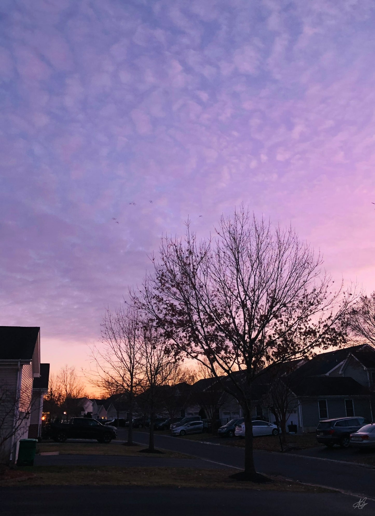 Sunset over the Houses #2