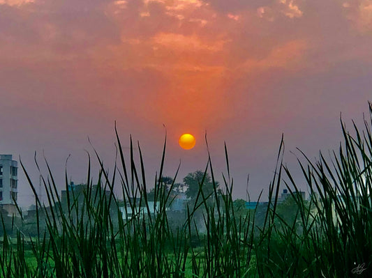 Painting Like Sunset