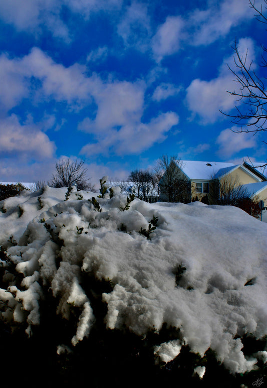 Winter Snow