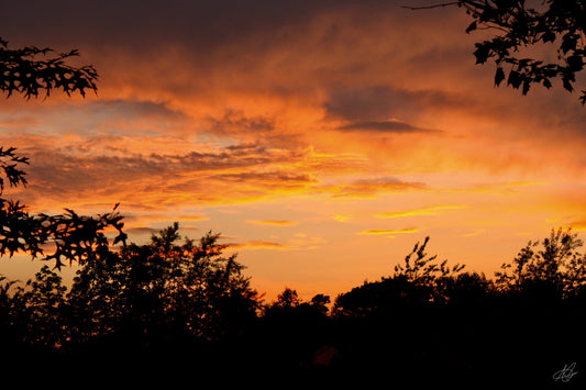 Orange Sunset