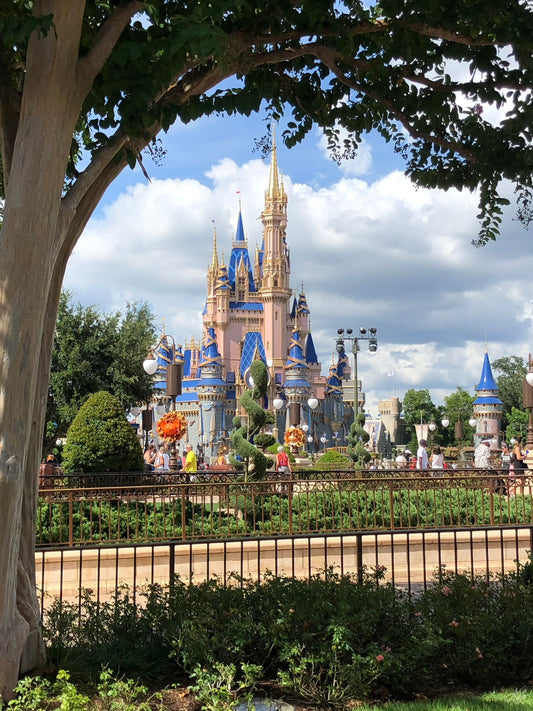 Cinderella's Castle Under a Tree