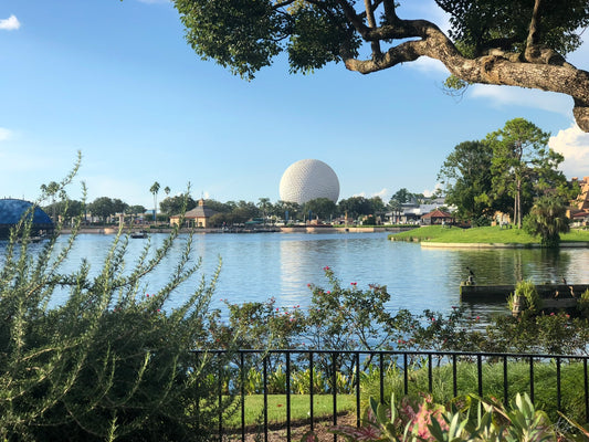 Epcot Under the Tree and Over the Lake