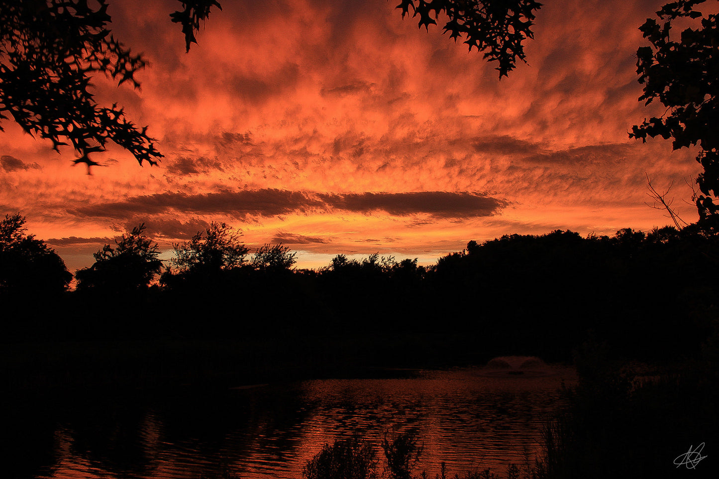 Dark Orange Hazy Sunset Over a Pond and the Trees